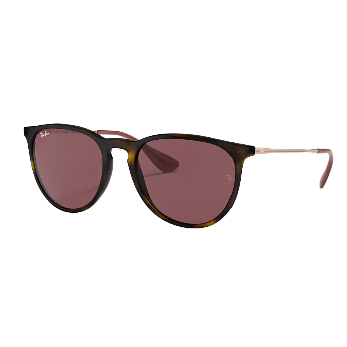 Gift Option 1 - Ray-Ban Sunglasses