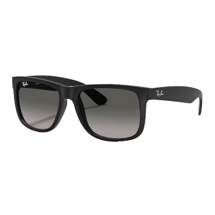 Gift Option 1 - Ray-Ban Sunglasses
