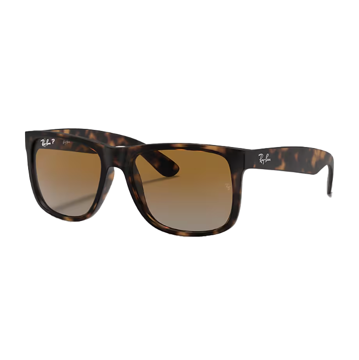 Gift Option 1 - Ray-Ban Sunglasses